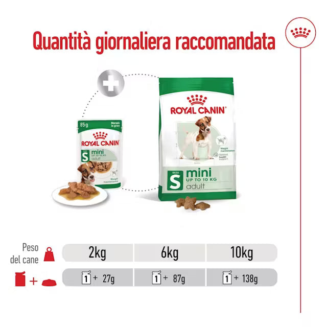 Royal Canin mini adult umido cane piccolo, vista ravvicinata crocchette in salsa Royal Canin mini adult umido cane piccolo, vista ravvicinata crocchette in salsa